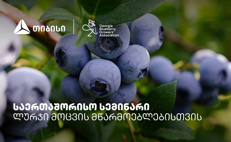 თიბისის მხარდაჭერით, ლურჯი მოცვის მწარმოებლებისთვის საერთაშორისო სემინარი გაიმართა