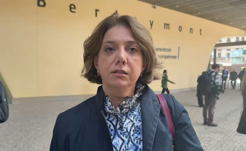 შეხვედრების ამოცანა ივანიშვილის რეჟიმზე ზეწოლის გაზრდის მექანიზმებზე მუშაობაა - სამადაშვილი