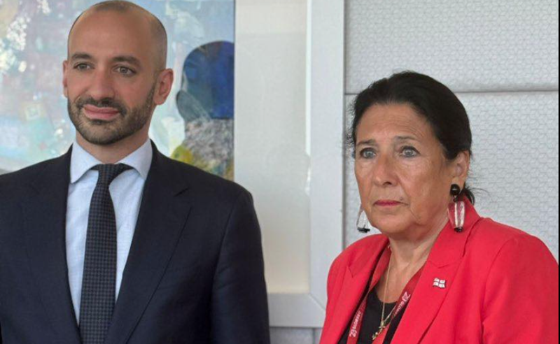 ზურაბიშვილმა ჩეხეთის პრეზიდენტთან და საფრანგეთის ევროპის მინისტრთან ქვეყანაში მიმდინარე პროცესებზე ისაუბრა 