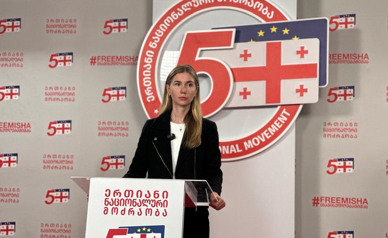ნიკა მზად იყო ამ უსამართლო ტყვეობისთვის და მშვიდად და ღირსეულად წავიდა ტყვეობაში-თინა ბოკუჩავა
