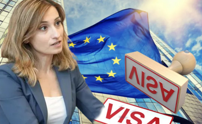 EU-ს მაგიდაზე ვიზალიბერალიზაციის საკითხი დევს - ნიდერლანდების ელჩი საქართველოში