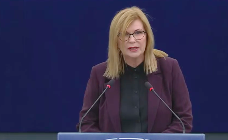 გოშევსკა: საქართველო, რომელსაც ევროკავშირში ინტეგრაცია სურდა, მოსკოვის სატელიტი ქვეყანა გახდა - "ოცნება" მკაცრად სჯის პროტესტს და ებრძვის თავისუფალ მედიას