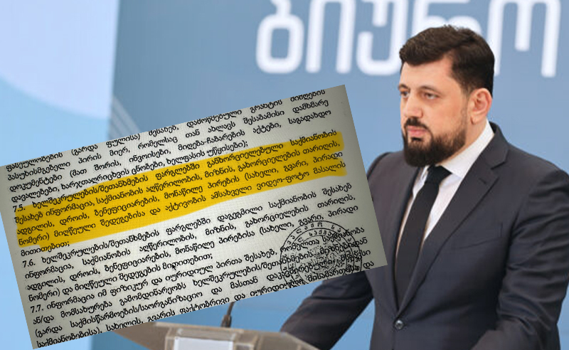 არასამთავრობოები სამართლებრივ დავას იწყებენ - საჩივარი სასამართლოში დღეს შევა