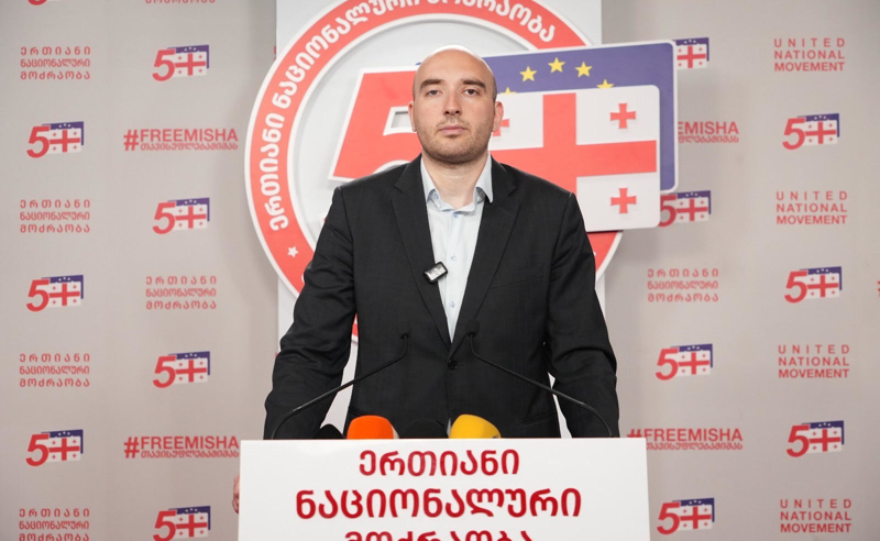 ფავლენიშვილი: ევროპარლამენტში მნიშვნელოვანი დისკუსია ვიხილეთ, ყველა პოლიტპატიმარზე იყო საუბარი, მათ შორის მიხეილ სააკაშვილზე