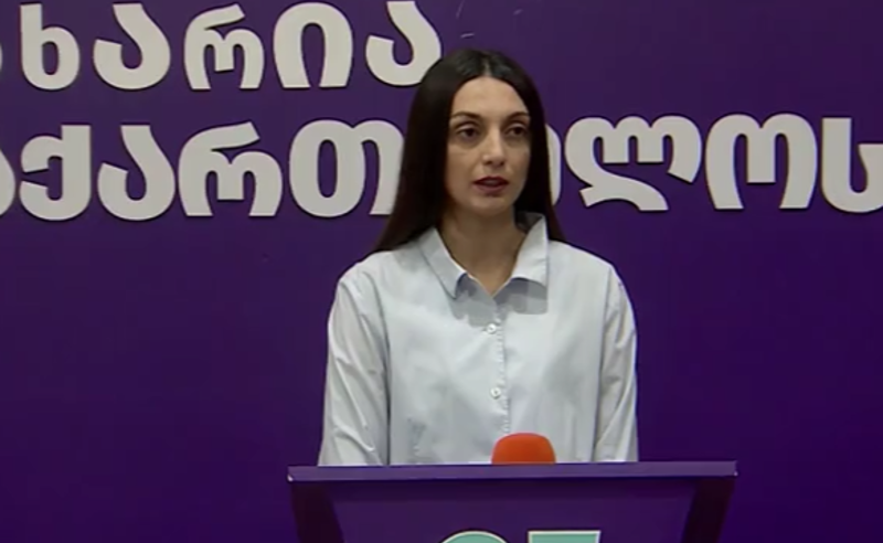 კომისიამ გახარიას ონლაინ ჩართვის უფლება წაართვა - ვიკა ფილფანი