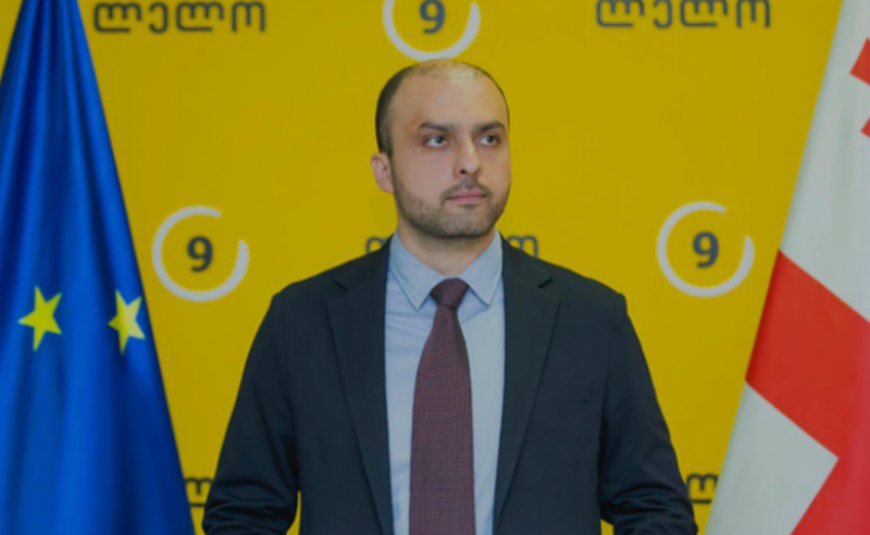 "საჩვენებელი დაკავებაა, სანახაობას აძლევენ საზოგადოებას" - სიორიძე მიქაუტაძის დაკავებაზე