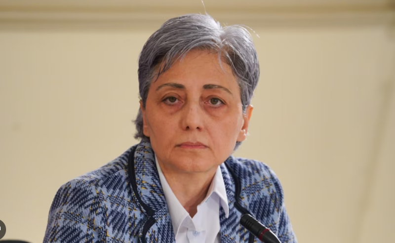 "ქართული ოცნების" მიზანია, ყველა პოლიტიკური ოპონენტი გზიდან ჩამოიშოროს - კოპალეიშვილი