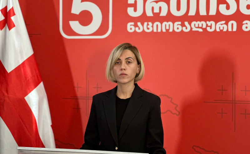 რეჟიმი ძალის დემონსტრირებას ცდილობს - წითლიძე პოლიტიკოსების დაპატიმრებაზე