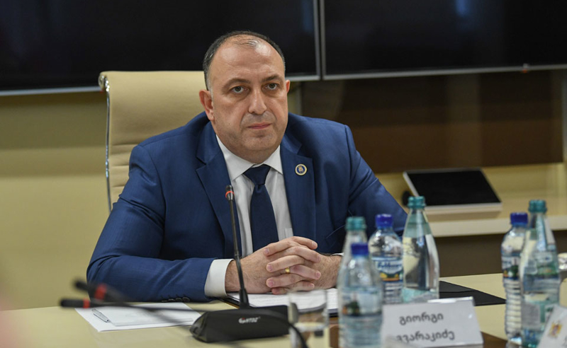 ახალი მთავარი პროკურორის პირველი კომენტარი ოპოზიცონერების მასობრივ დაკავევებზე