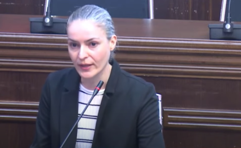 ცვლილებები ნეგატიურად აისახება მართლმსაჯულების მუშაობის გამჭვირვალობაზე - ომბუდსმენის წარმომადგენელი სასამართლოში მედიის შემზღუდავ კანონპროექტზე