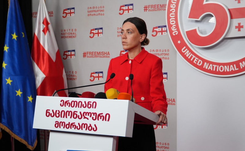 ანა წითლიძე: ოპოზიციამ უნდა მოაბილიზოს საქართველოს აქტიური მოქალაქეები, რომ წინააღმდეგობის მოძრაობა გაიზარდოს