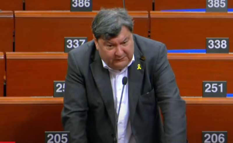 რუსეთის გავლენის აგენტები საქართველოს რუსული დიქტატურის ქვეშ აბრუნებენ - ზინგერისი