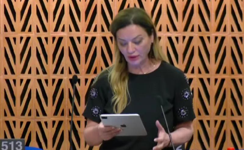 "უნდა ვიმოქმედოთ მანამ, სანამ საქართველოში დემოკრატია მხოლოდ მოგონება გახდება" - ალბანა ვოკში