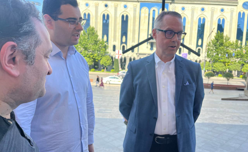 რაზე ესაუბრა გერმანიის ელჩი მოშიმშილე პოლიტიკოსებს - გედევან ფოფხაძის კომენტარი 