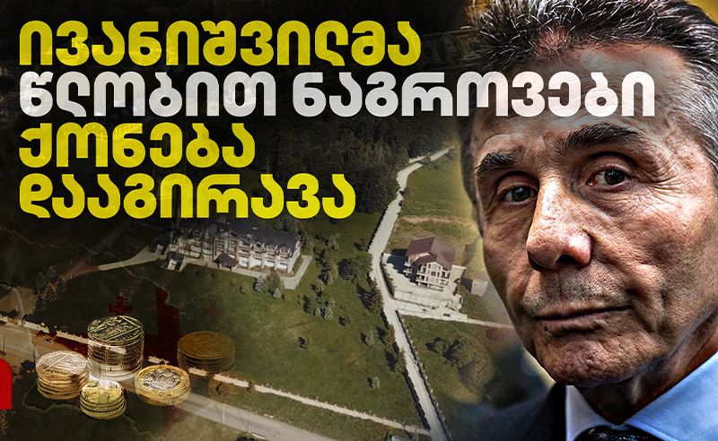 ჟურნალისტური გამოძიება: ბიძინა ივანიშვილმა ქონება დააგირავა