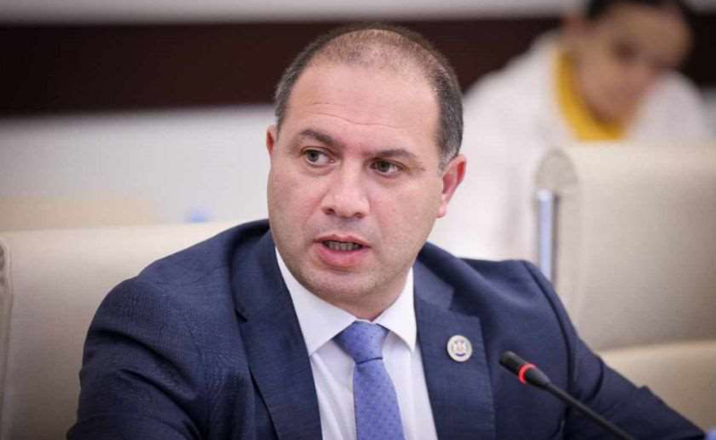 Gürcüstanın yeni təhsil naziri təyin edilib