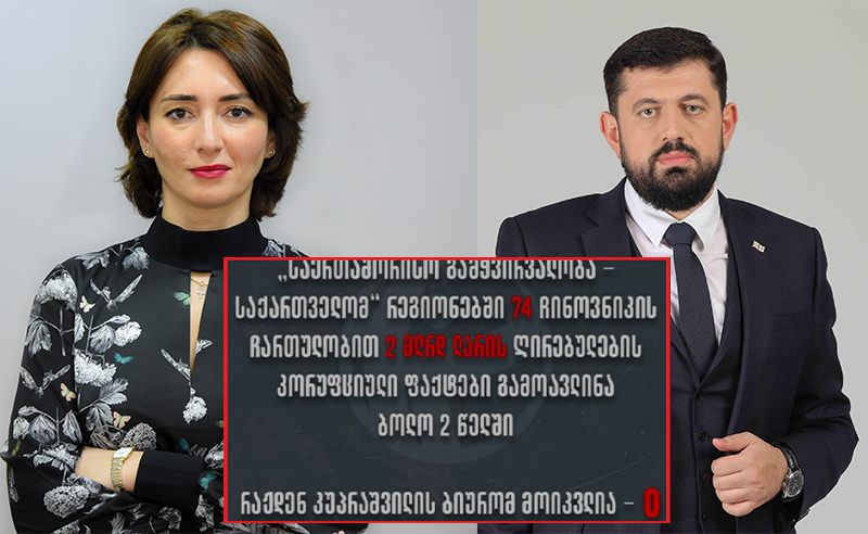 "ეკა გიგაური საშინლად იქცევა" - რატომ არ იძიებს კუპრაშვილი TI-ს მიწოდებულ სავარაუდო კორუფციულ საქმეებს