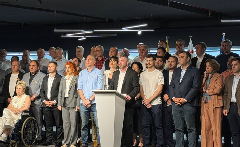 "ძლიერი საქართველოს" გადაწყვეტილებზე პირველი შეფასებები კეთდება