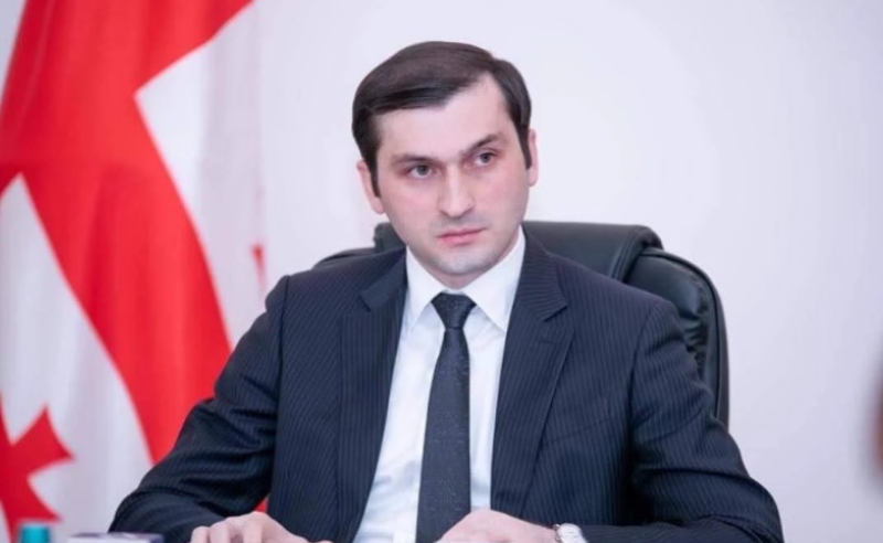 სამთავრობო მედიის ცნობით, თვითმკვლელობის მცდელობამდე თორნიკე რიჟვაძემ წერილი დატოვა
