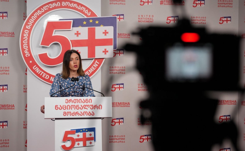 „სისტემა თავის შვილებს ჭამს“ - ანი წითლიძე რიჟვაძის საქმეზე
