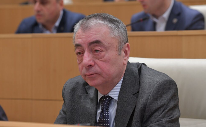 შარმანაშვილი: დასადგენია, ნამდვილად თორნიკე რიჟვაძემ დაწერა თუ არა წერილი