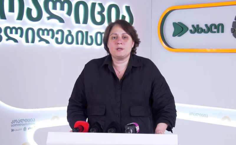 Elene Xoştaria polislərə “qul” deyə müraciət etdiyi üçün 5000 lari cərimələnib