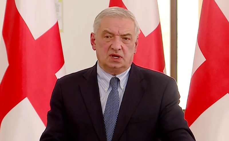 "დანიგანს ძალიან ბნელი მომავალი უნდა საქართველოსთვის" - გია ვოლსკი
