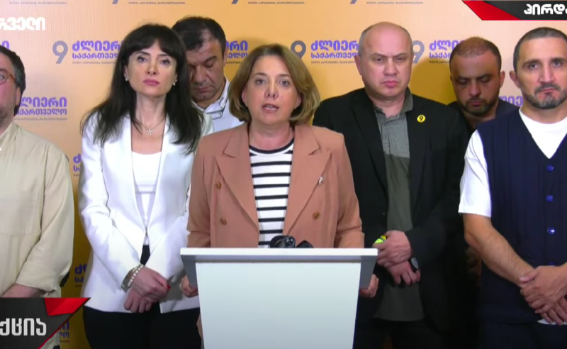 პოლიტიკურ ოპონენტებზე დევნა გრძელდება, ვერაფერი შეგვაშინებს და აგვაღებინებს ხელს ამ ბრძოლაზე-სამადაშვილი