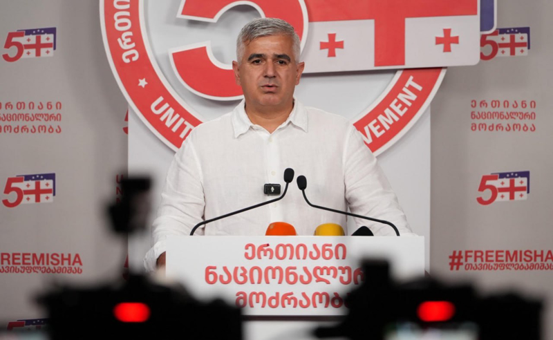 "ოცნება" საკუთარი კორუფციული და დანაშაულებრივი ქმედებების სხვაზე გადაბრალებას ცდლობს - ბოტკოველი რიჟვაძის საქმეზე