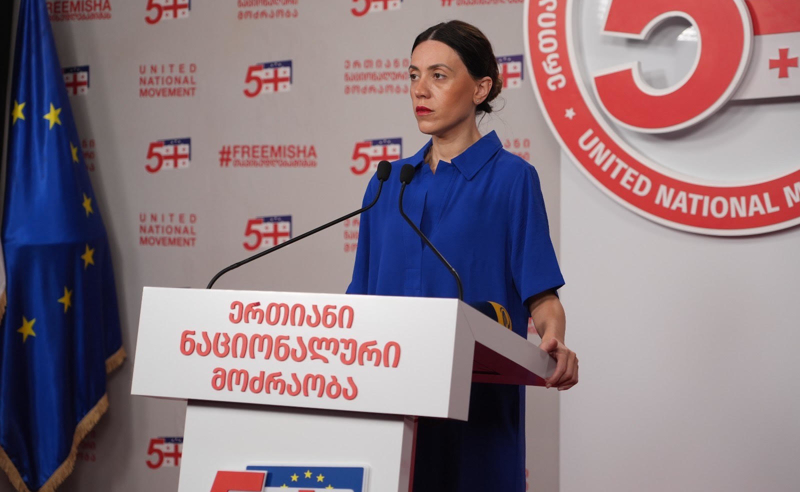 ანა წითლიძე: “ქართული ოცნების“ პოლიტიკური საბჭოს განცხადება წარმოუდგენლად შემზარავია