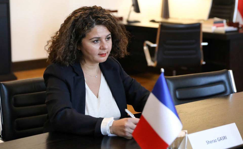 შერაზ გასრი: ვიზალიბერალიზაციის შეჩერება შეთანხმებული პროცედურაა ვალდებულებების დარღვევის დროს სწორ გზაზე დასაბრუნებლად