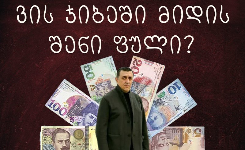 TI: ბიძინა ივანიშვილის დეიდაშვილის ბიზნესპარტნიორმა ბიუჯეტიდან 56 მლნ ლარი მიიღო