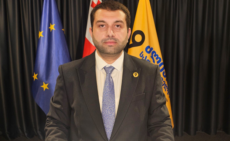 "რეჟიმი საჯარო მოხელეები დაშინებას ე.წ. დანოსებისა და ანონიმკების საშუალებით ცდილობს" - თორნიკე ართქმელაძე