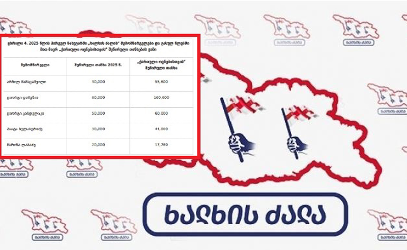 "ხალხის ძალას" ივანიშვილის გარემოცვა აფინანსებს 