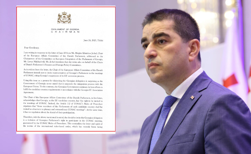 პაპუაშვილი დანიის პარლამენტის თავმჯდომარისთვის გაგზავნილ წერილს ასაჯაროებს