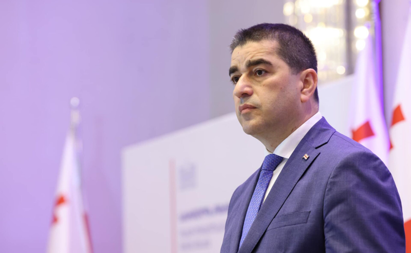 "ოცნება" დიპლომატების წინააღმდეგ - პაპუაშვილის მიმართვა ელჩებს
