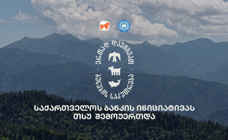 ერთად დავიცვათ ბუნების საკუთრება - საქართველოს ბანკის და CNF-ის კამპანიაში თსუ-ც მონაწილეობს