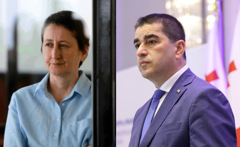 შალვა პაპუაშვილი მზია ამაღლობელის პატიმრობას ელჩებს აბრალებს