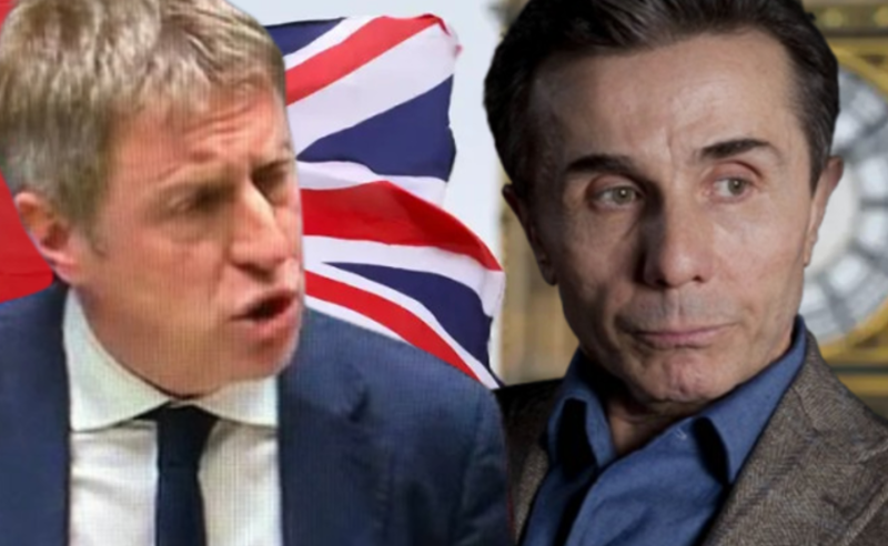 "ივანიშვილი ჩრდილოვანი მმართველია" - ექსკლუზიური ინტერვიუ ჯეიმს მაკლირთან