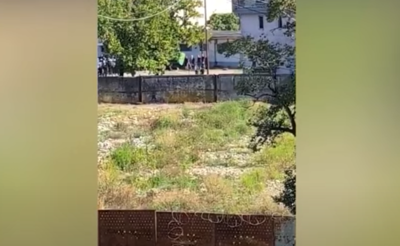 "პირველებს" სამეგრელოში სპეცრაზმის წვრთნების კადრებს აწვდიან - რისთვის ემზადება "ოცნება"?