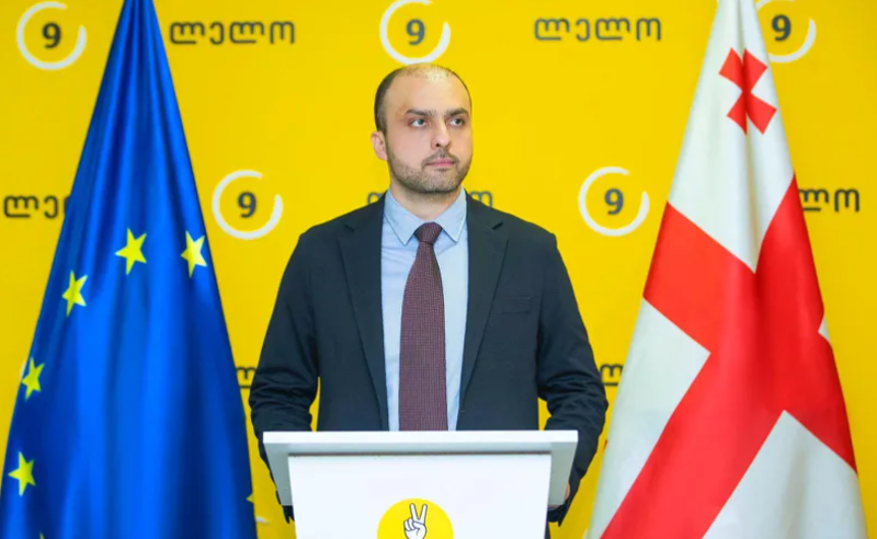 სიორიძე: ჩვენი სრული მხარდაჭერა არასამთავრობოებს...ივანიშვილის რეჟიმს არ მივცემთ იმის შესაძლებლობას, რომ პასუხი არ აგოს ამ თვითნებობაზე