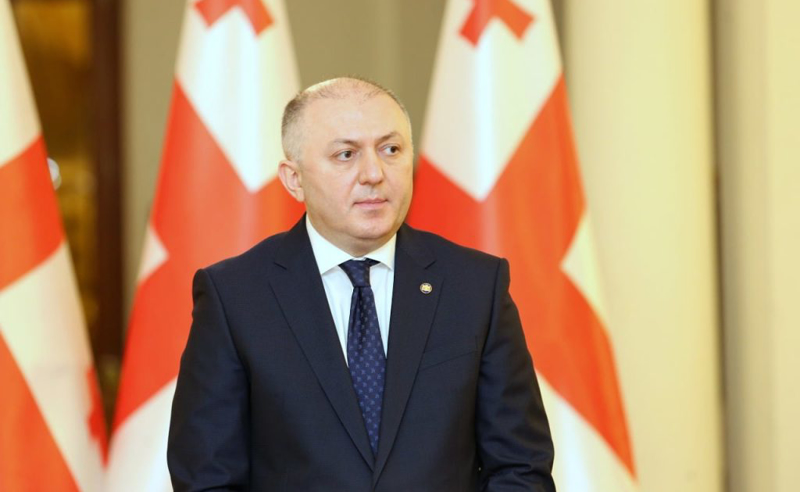 "საიდუმლო ტენდერები სუსის გარეშე ვერ ჩატარდებოდა" - მოუწევს თუ არა ბურჭულაძის საქმეზე  გამოკითხვაზე მისვლა ლილუაშვილს?