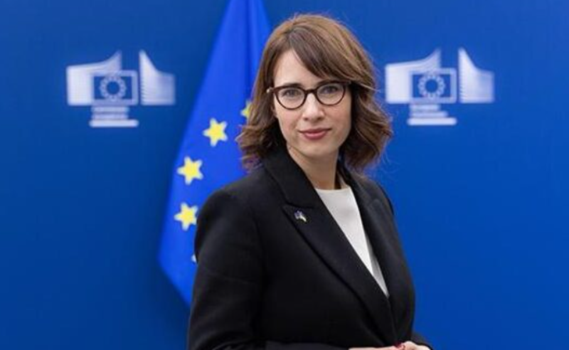 ჰიპერი: ქართველ ხალხს ჩვენი სრული მხარდაჭერა აქვს - ელჩზე თავდასხმები დაუყოვნებლივ უნდა შეწყდეს