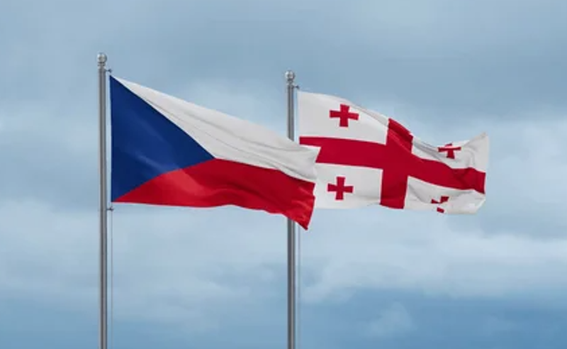 ჩეხეთმა ოფიციალურ პირებს ვიზები გაუჩერა  - რას ამბობენ ოპოზიციაში