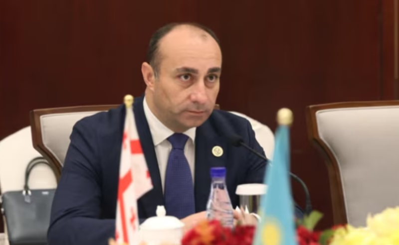 რა "რჩევა" შეეძლო, მიეღო გეკა გელაძეს სანქცირებული ბელორუსი მაღალჩინოსნისგან (შეფასება)