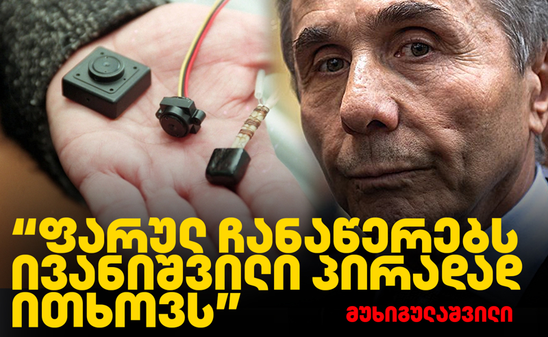 სკანდალური მხილება: "ფარულ ჩანაწერებს ივანიშვილი პირადად ითხოვს"