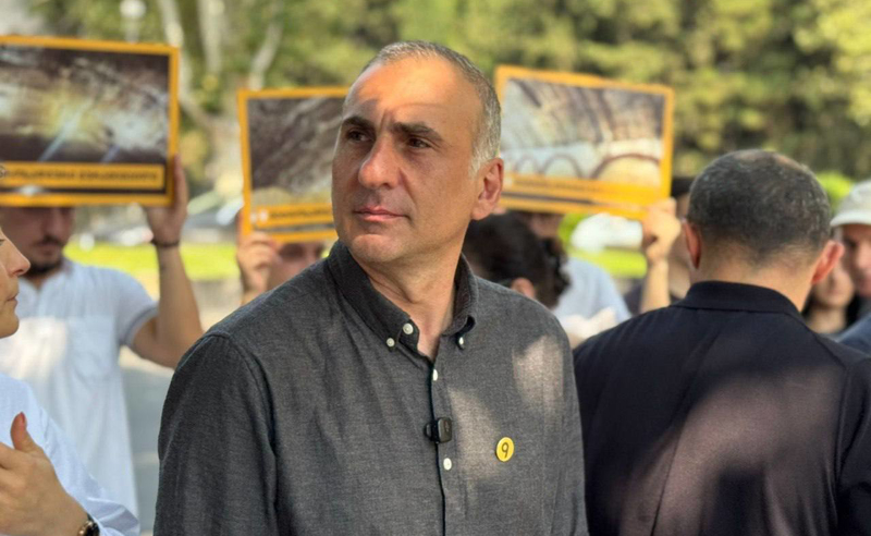 "არანაირი კორუფციასთან ბრძოლა არ მიდის, ვიღაც ჩანჩურებს იჭერენ" - ელისაშვილი