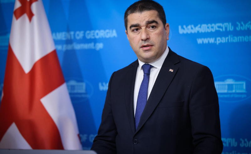 შალვა პაპუაშვილი არგუმენტირებულად ვერ პასუხობს კითხვას, ეწინააღმდეგება თუ არა ხაბეიშვილის დაკავება ორგანულ კანონს