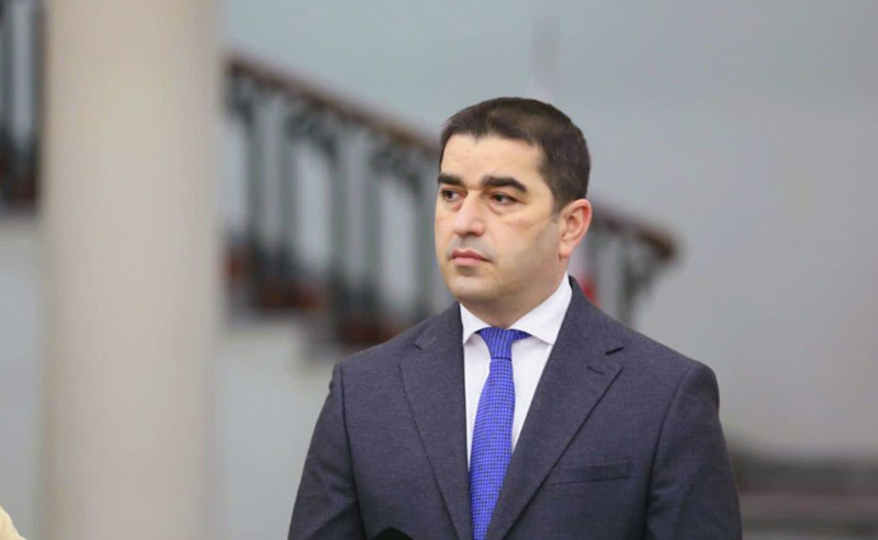 "პასუხისმგებლობას გაიზიარებენ" - პაპუაშვილი პაველ ჰერჩინსკის და პეტერ ფიშერს ძალადობის წახალისებაში ადანაშაულებს