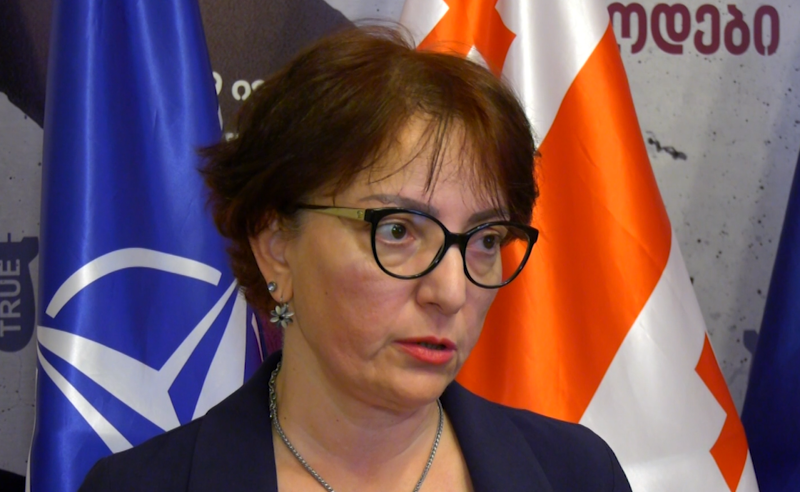 "როცა არაოფიციალურ ვახშამზეც აღარ გვეპატიჟებიან, ეს იმას ნიშნავს, რომ ხელი ჩაიქნიეს" - თინა ხიდაშელი 
